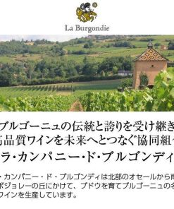 白ワイン フランス ブルゴーニュ ラ カンパニー ド ブルゴンディ コトー ブルギニヨン シャルドネ ブラン 2022 750ml