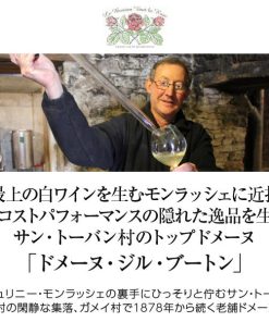 白ワイン フランス ブルゴーニュ ドメーヌ ジル ブートン サン トーバン プルミエ クリュ レ シャンプロ ブラン 2022 750ml