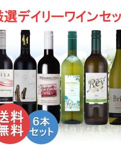 厳選 コスパ デイリー ワイン セット 赤 白 ６本セット 飲み比べ wine set 敬老の日