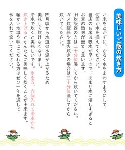 こしいぶき 新米 お米 新潟県産 白米 10kg (5kg×2個) 令和7年産【本州送料無料】