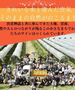 ふるさと納税 雲南市 カベルネソーヴィニヨン・ロゼ 750ml×3本 ミディアムボディ
